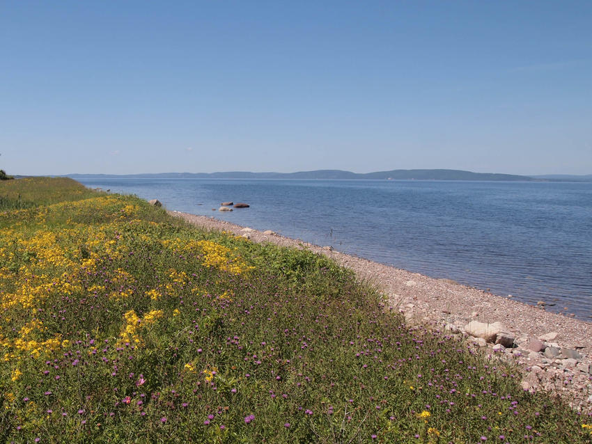 Little Bras D'Or, NS Homes for Sale & Real Estate